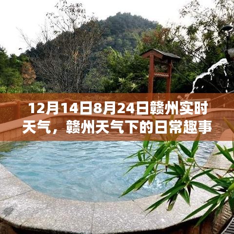 鸟云之阵 第3页