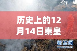 秦皇岛火灾重生之旅，探寻自然美景与内心平静的最新进展