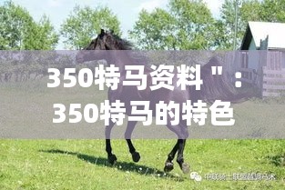 350特马资料＂：350特马的特色亮点与行业影响深度观察