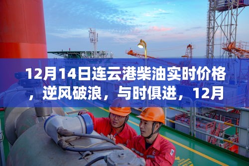 12月14日连云港柴油实时价格，与时俱进，揭示市场趋势的启示