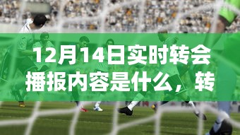 友情与足球的碰撞，揭秘转会播报日的实时动态（附日期）