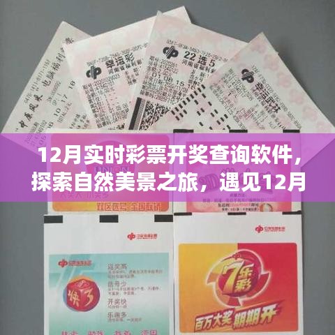 彩票与美景的双重体验，实时查询软件带你探索自然魅力
