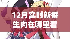 12月新番生肉在线观看指南，自信与成就感的源泉