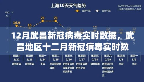 武昌地区十二月新冠病毒实时数据多维观察与观点阐述