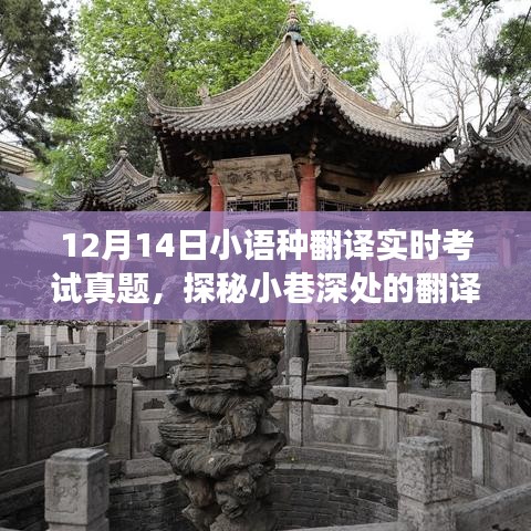 探秘小巷深处的翻译宝藏，12月14日小语种翻译真题体验之旅