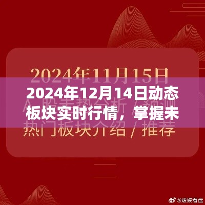 2024年12月14日动态板块行情深度解析与实时洞察