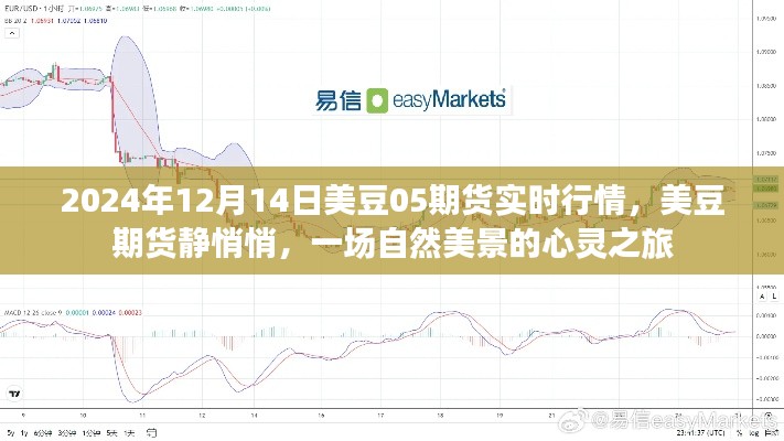 美豆期货实时行情背后的自然美景心灵之旅，静悄悄的力量与启示