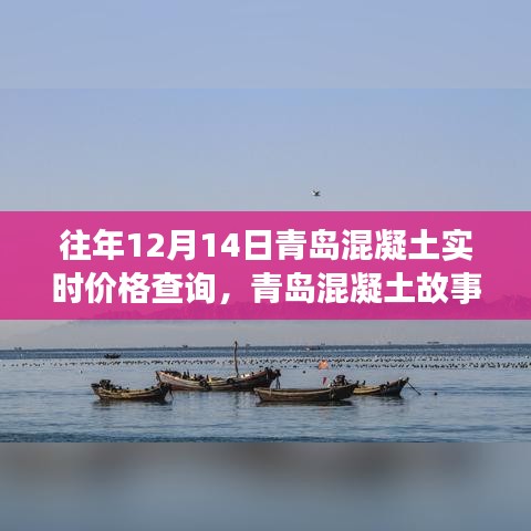 青岛混凝土故事，冬日回忆中的友情、温情与实时价格查询