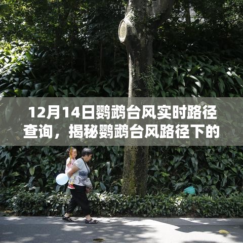 揭秘鹦鹉台风路径下的独特风情与隐藏特色小店，实时路径查询与小巷风情游
