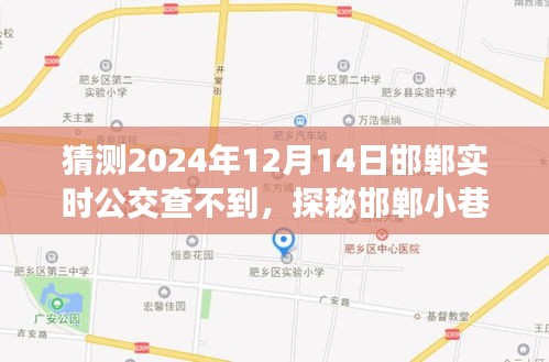 探秘邯郸小巷深处隐藏瑰宝，公交时光外的特色小店，预测公交查询状况
