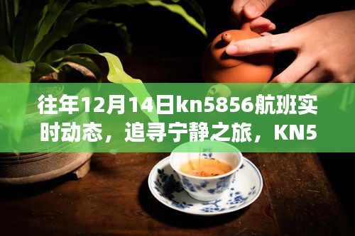 追寻宁静之旅，KN5856航班与大自然的奇妙邘逅之实时动态记录