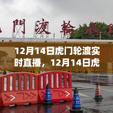 12月14日虎门轮渡直播，渡轮的温馨之旅