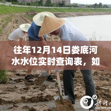 往年12月14日娄底河水水位实时查询表，详细步骤查询往年数据指南