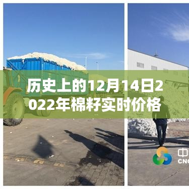 历史回顾与影响分析，2022年棉籽实时价格变动在12月14日