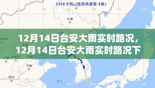 台安地区12月14日大雨实时路况下的交通应对与个人观点