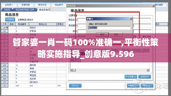 管家婆一肖一码100%准确一,平衡性策略实施指导_创意版9.596