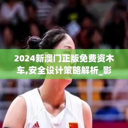 2024新澳门正版免费资木车,安全设计策略解析_影像版10.467