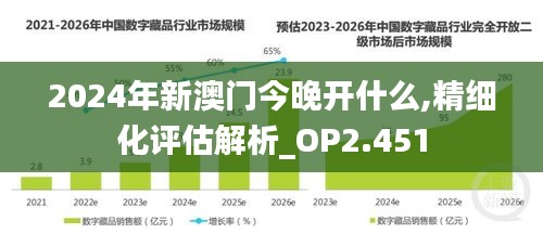 2024年新澳门今晚开什么,精细化评估解析_OP2.451