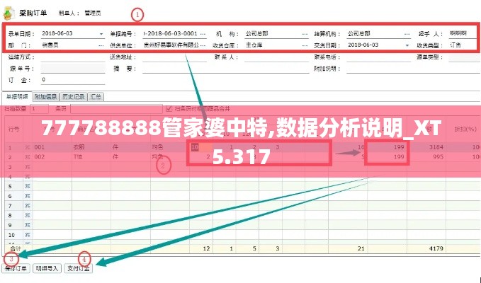 777788888管家婆中特,数据分析说明_XT5.317