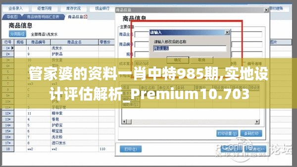 管家婆的资料一肖中特985期,实地设计评估解析_Premium10.703