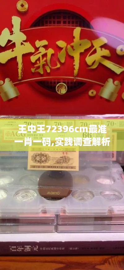 王中王72396cm最准一肖一码,实践调查解析说明_Q4.683