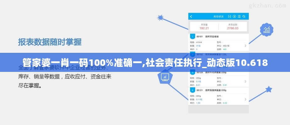 管家婆一肖一码100%准确一,社会责任执行_动态版10.618