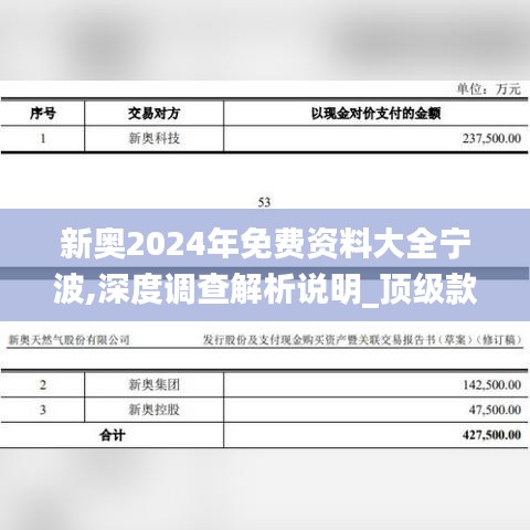 新奥2024年免费资料大全宁波,深度调查解析说明_顶级款3.143