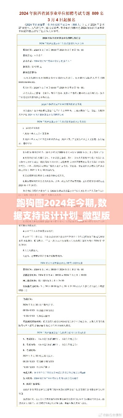 跑狗图2024年今期,数据支持设计计划_微型版8.809