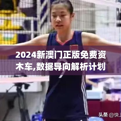 2024新澳门正版免费资木车,数据导向解析计划_C版14.811