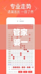 管家婆一码一肖必开,持续计划实施_4DM10.103