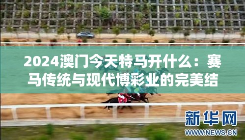 2024澳门今天特马开什么：赛马传统与现代博彩业的完美结合