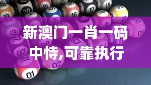 新澳门一肖一码中恃,可靠执行计划策略_冒险版10.655