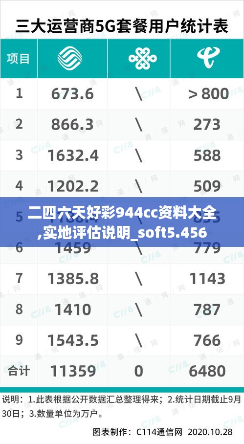 二四六天好彩944cc资料大全,实地评估说明_soft5.456