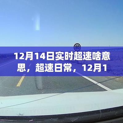 12月14日实时超速，速度与温情的日常
