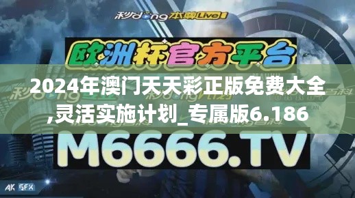 2024年澳门天天彩正版免费大全,灵活实施计划_专属版6.186