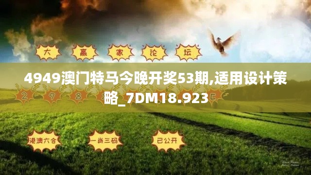4949澳门特马今晚开奖53期,适用设计策略_7DM18.923
