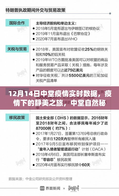 中堂疫情实时数据与静美之旅，自然秘境的治愈力量