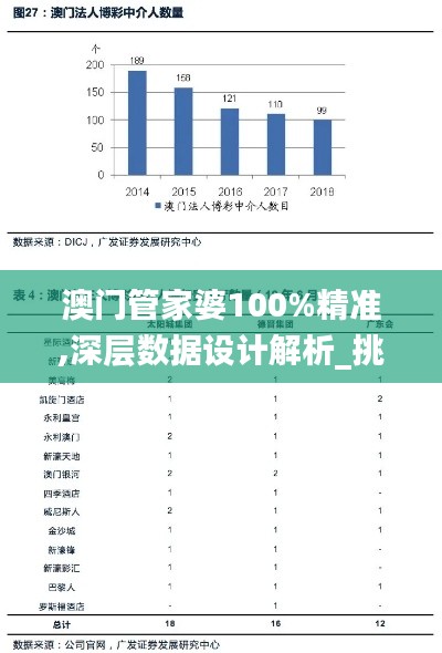 澳门管家婆100%精准,深层数据设计解析_挑战款8.610