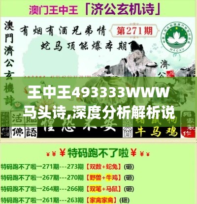 王中王493333WWW马头诗,深度分析解析说明_精英版6.782