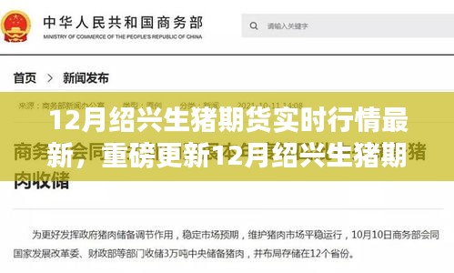 12月绍兴生猪期货行情实时更新，最新动态一网打尽