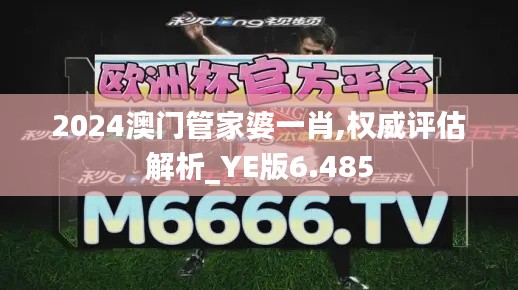 2024澳门管家婆一肖,权威评估解析_YE版6.485
