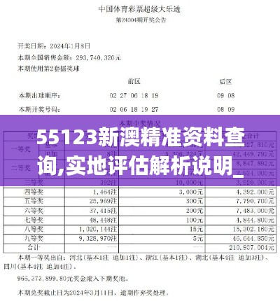 55123新澳精准资料查询,实地评估解析说明_Surface2.919