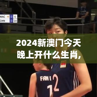 2024新澳门今天晚上开什么生肖,精细化解读说明_RX版5.334