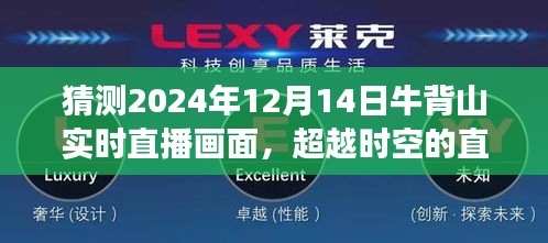 超越时空的直播盛宴，牛背山未来实时直播技术展望与2024年12月14日直播画面猜想