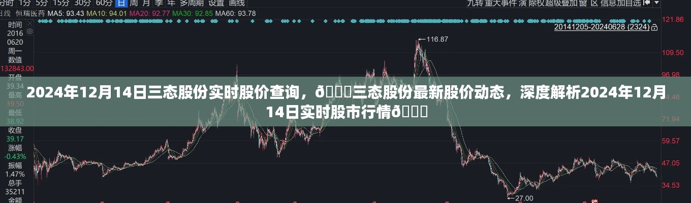 2024年12月14日三态股份实时股价解析与动态更新