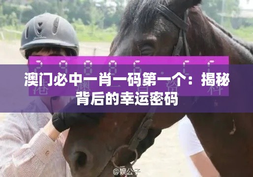 澳门必中一肖一码第一个：揭秘背后的幸运密码