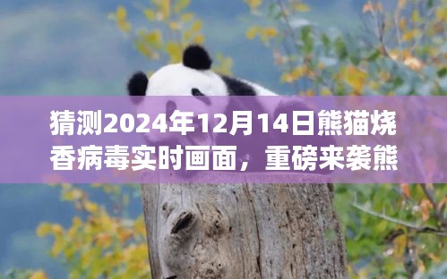 重磅揭秘，熊猫烧香病毒重生预警与全新科技产品熊猫守护者实时防御系统亮相未来科技浪潮！