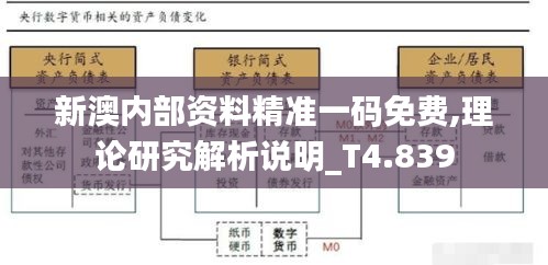 新澳内部资料精准一码免费,理论研究解析说明_T4.839