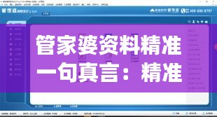管家婆资料精准一句真言：精准洞察，打造无可挑剔的资料管理世界