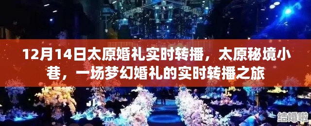 太原秘境小巷梦幻婚礼实时转播之旅，爱的见证，幸福启航